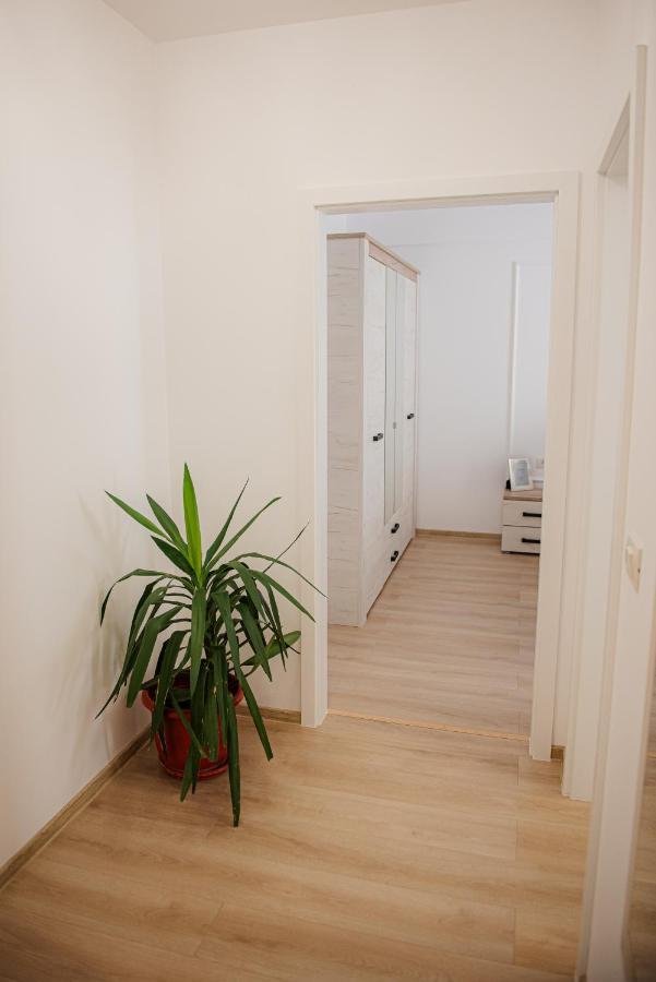 Modern In Apartament Timişoara