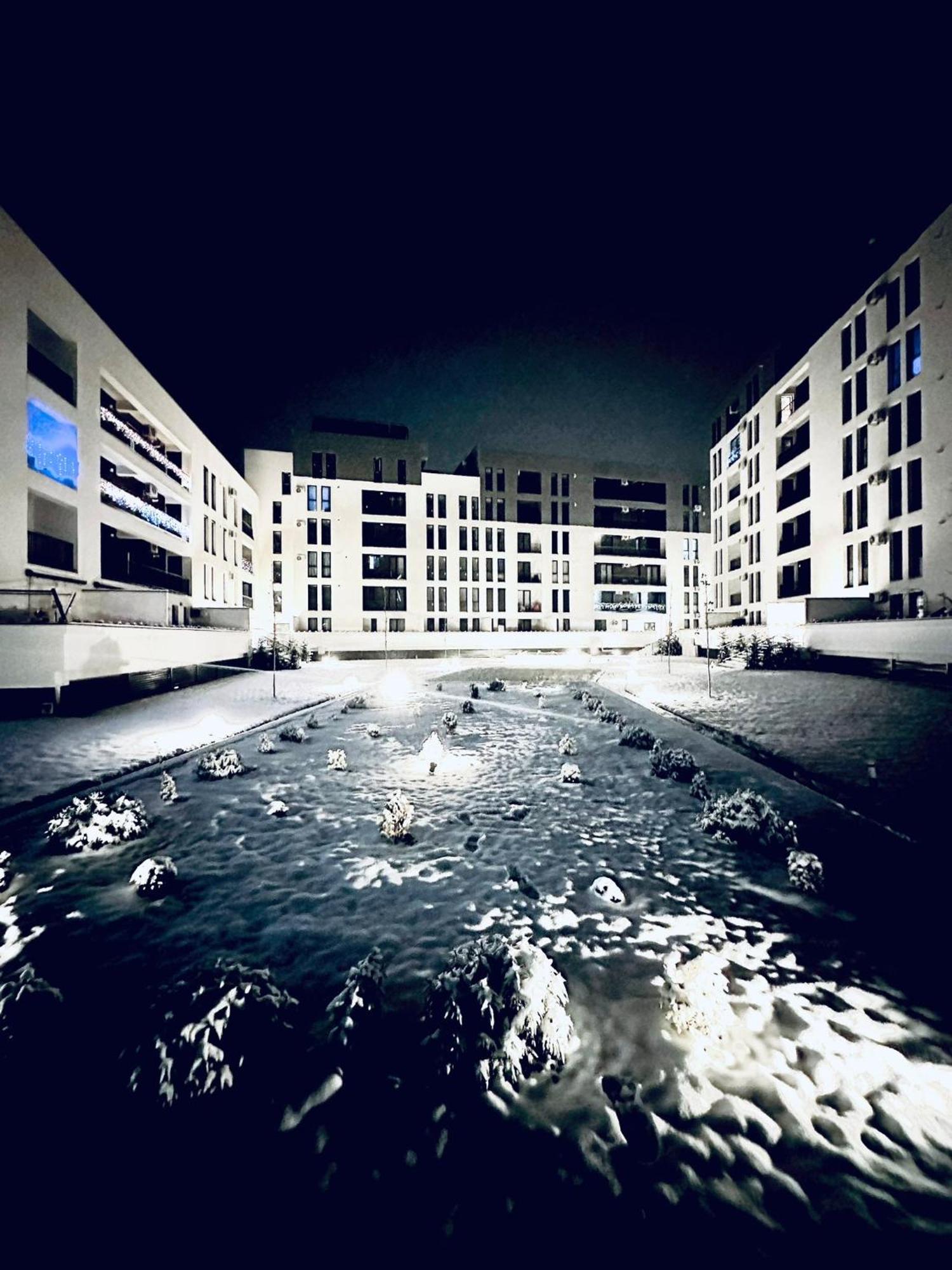 Modern In * Timişoara